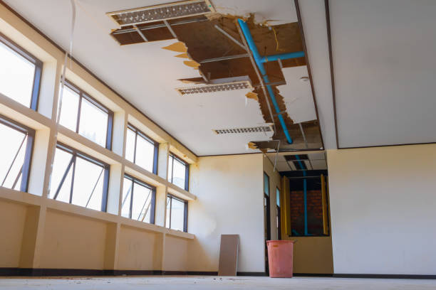 Best Water damage restoration near me  in Dobson, NC
