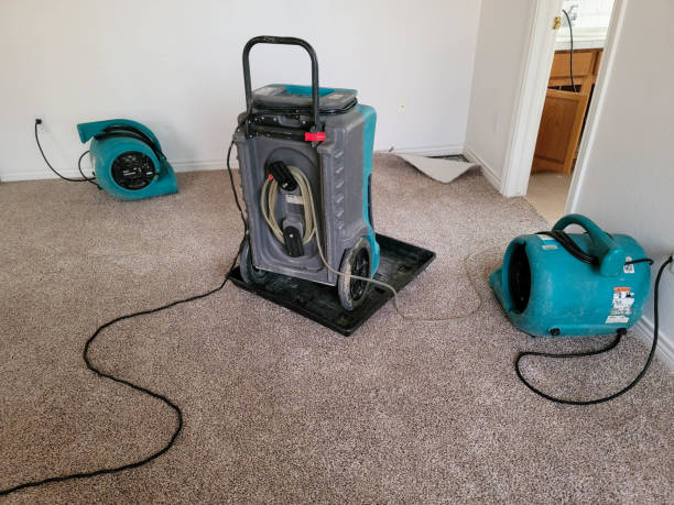 Water damage restoration mold remediation in Dobson, NC
