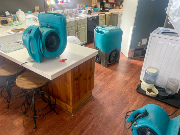 Best Residential water damage restoration  in Dobson, NC