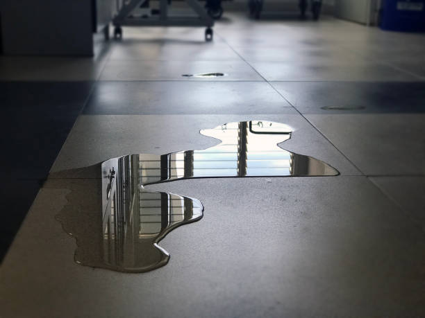 Best Water damage restoration process  in Dobson, NC
