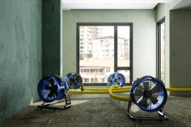 Best Flood restoration services  in Dobson, NC