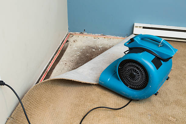 Best Commercial water damage restoration  in Dobson, NC
